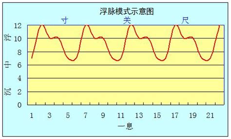 脈相 浮滑|《中醫詞典》解釋「浮脈」的意思